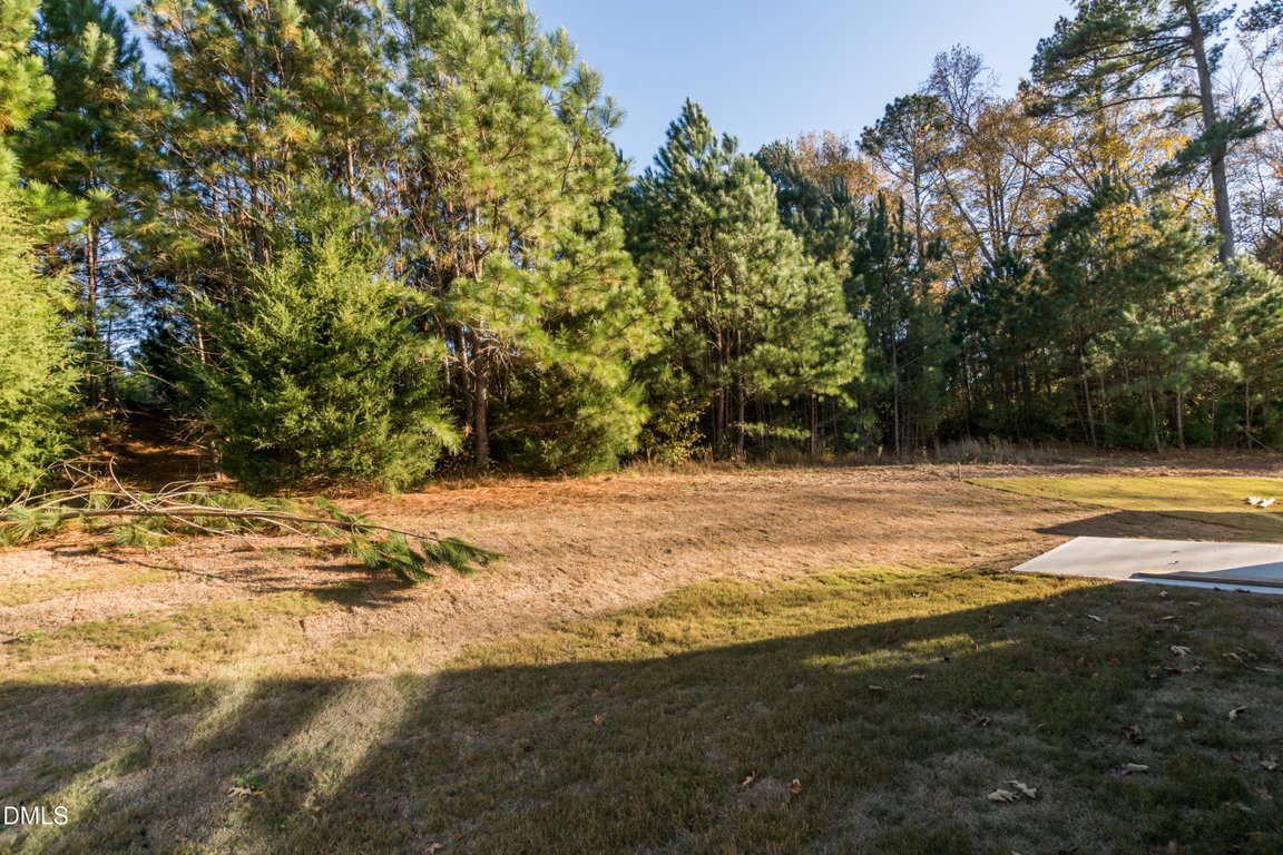 175 Starlet Rdg Way — photo 19