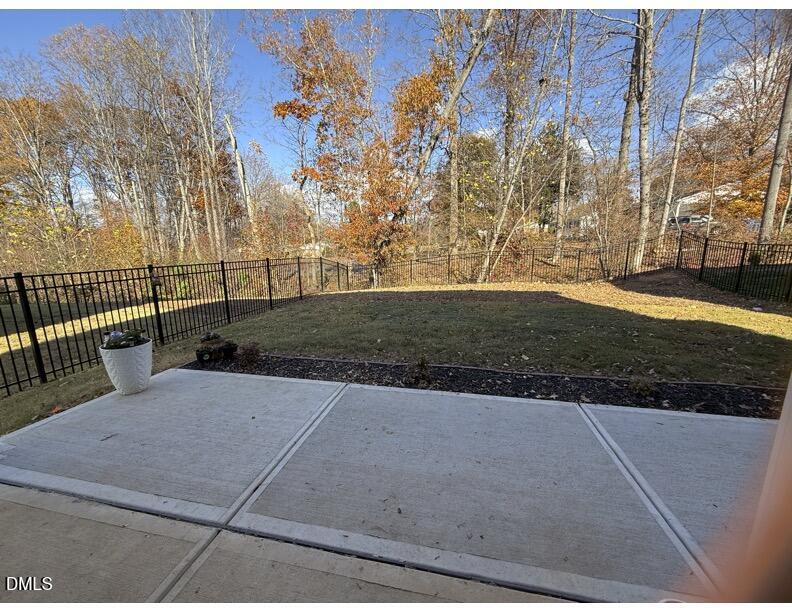 backyard2