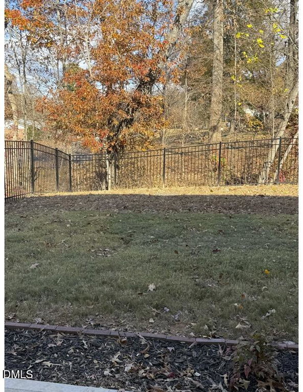 backyard1