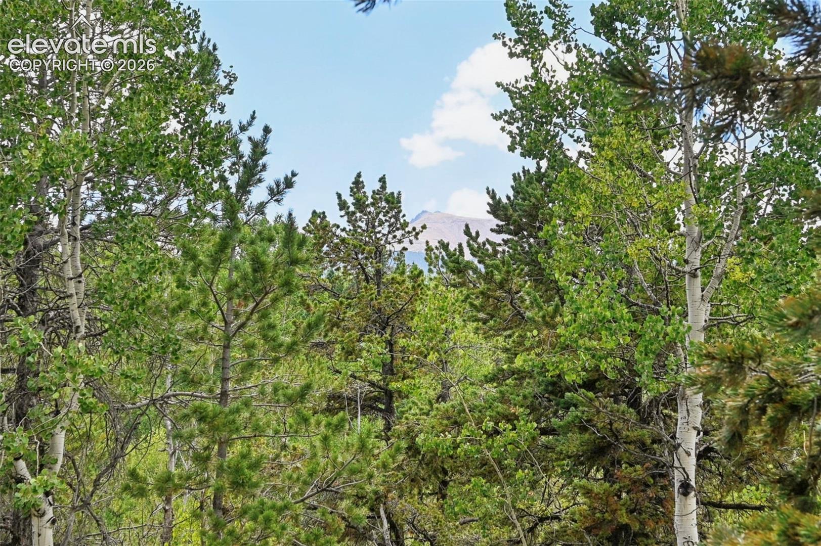 Listing photo 29 for 2659 Edlowe Road