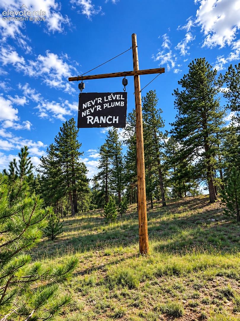 Listing photo 3 for 3303 Trail Creek Road