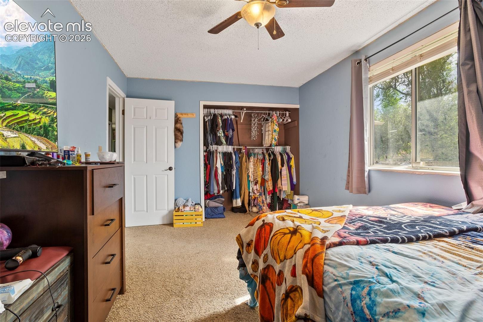 2516 Anjelina Circle, photo 8