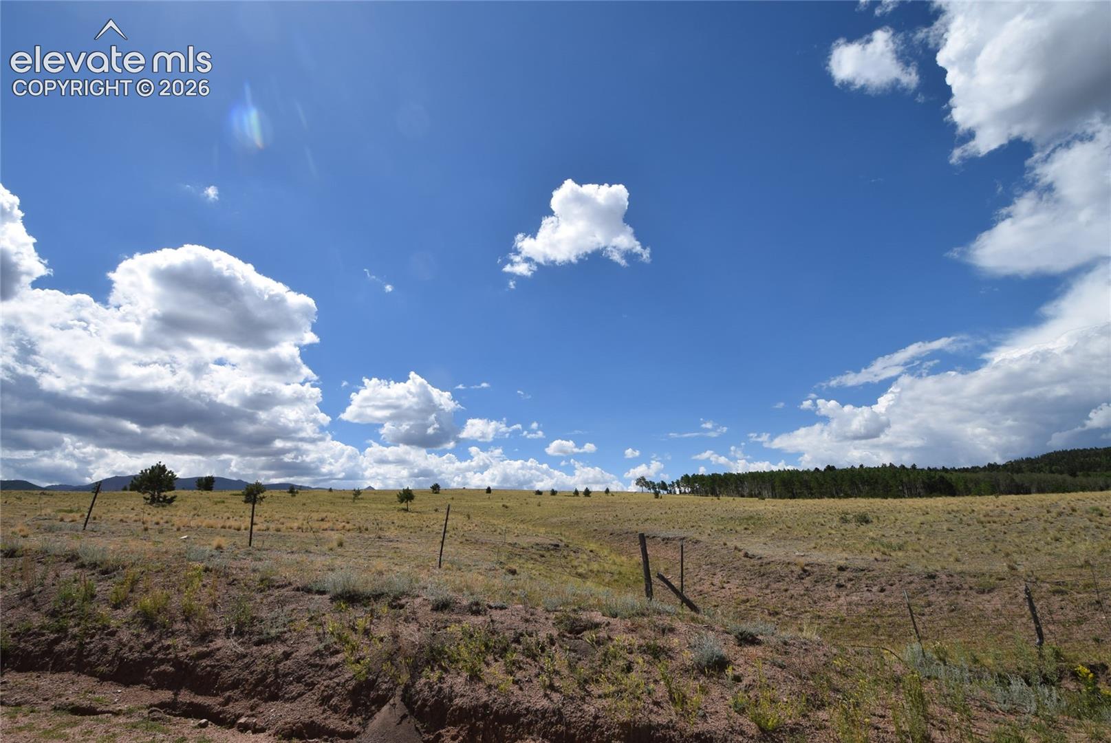 Listing photo 46 for 877 Maid Marian Drive