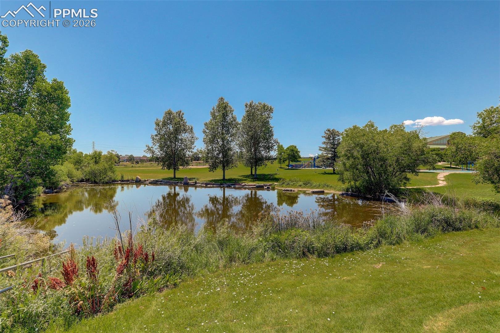 1204 Uvalda Street, photo 16