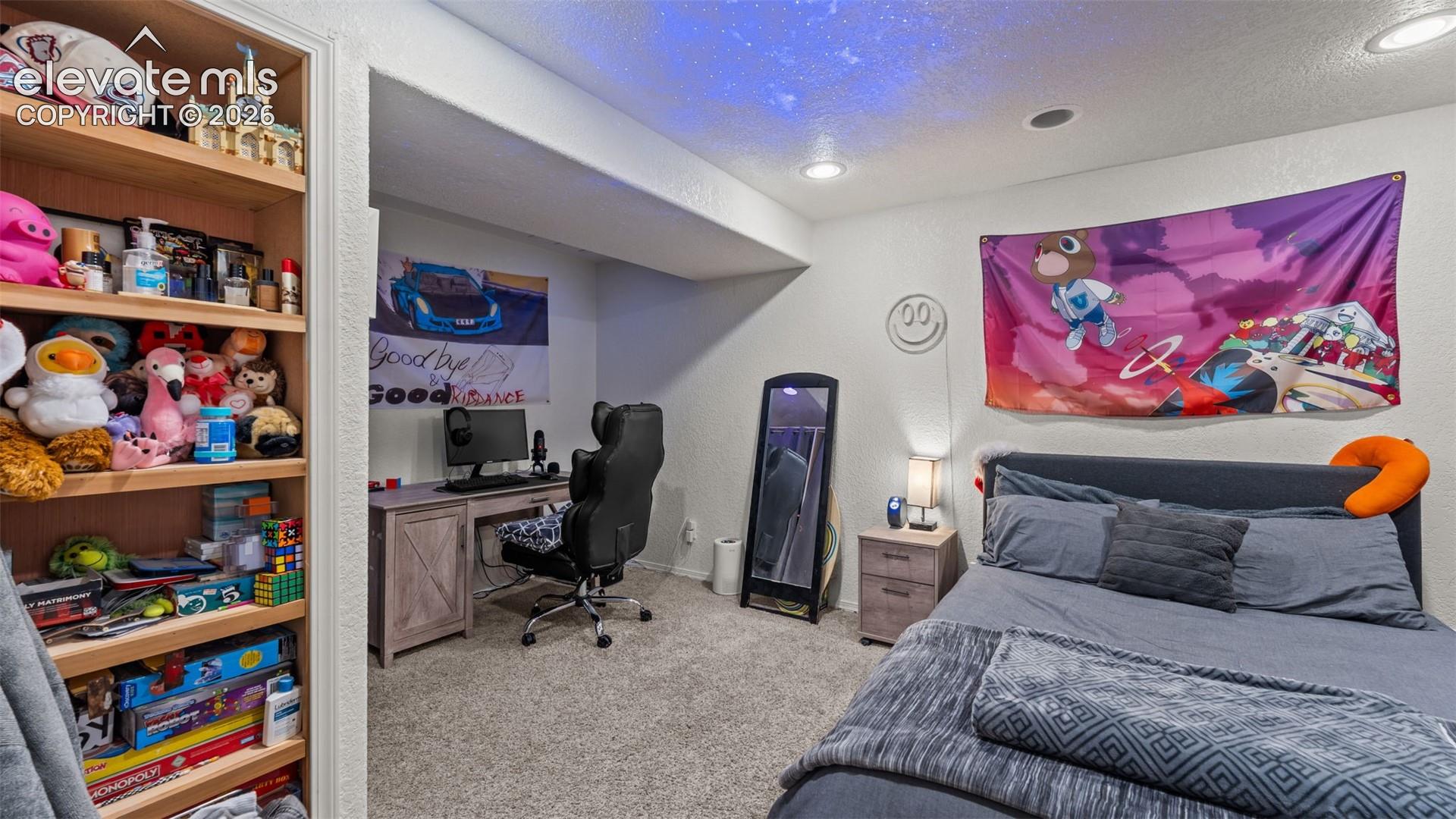 Listing photo 15 for 6348 La Plata Peak Drive