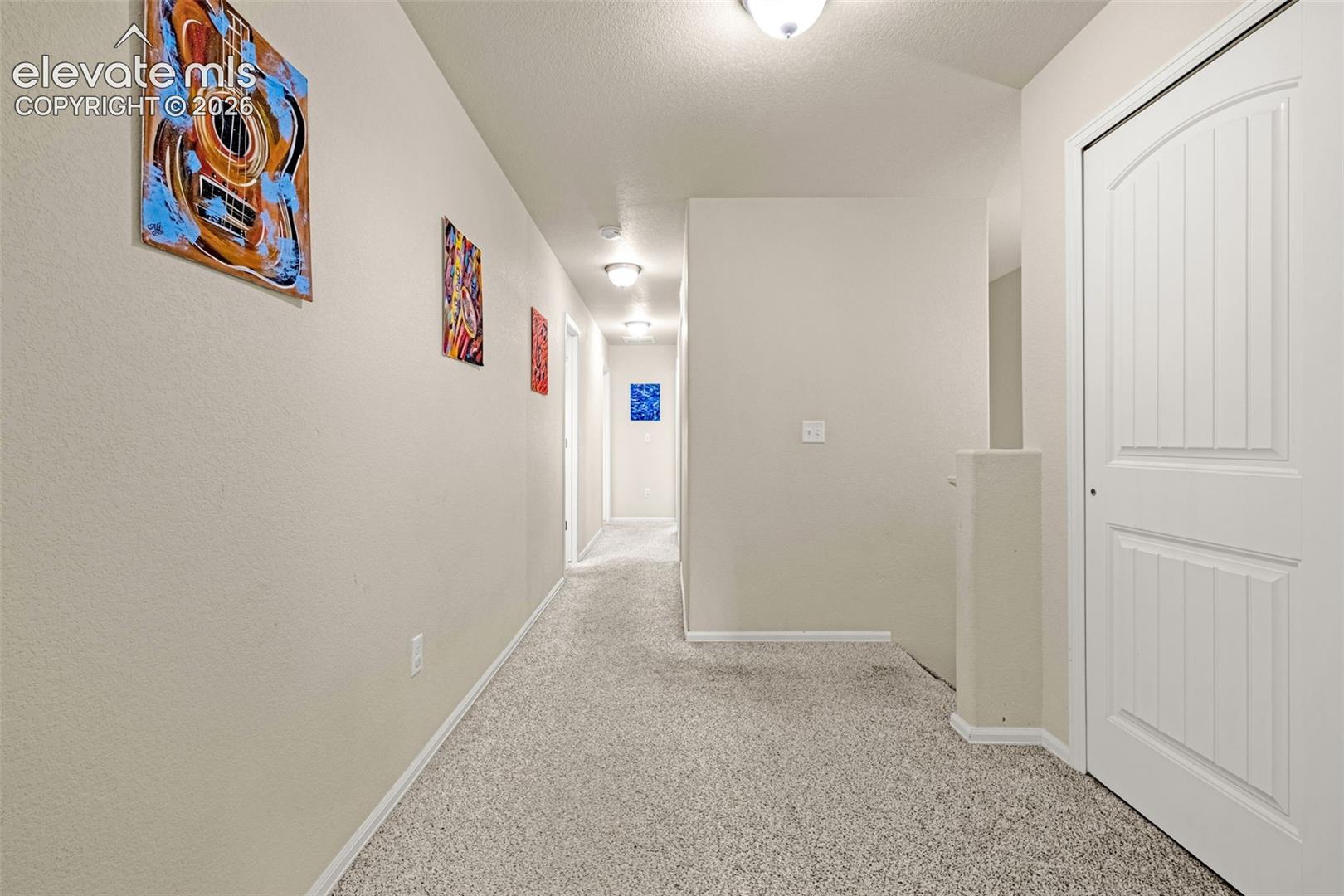 1828 Final View Alley, photo 19
