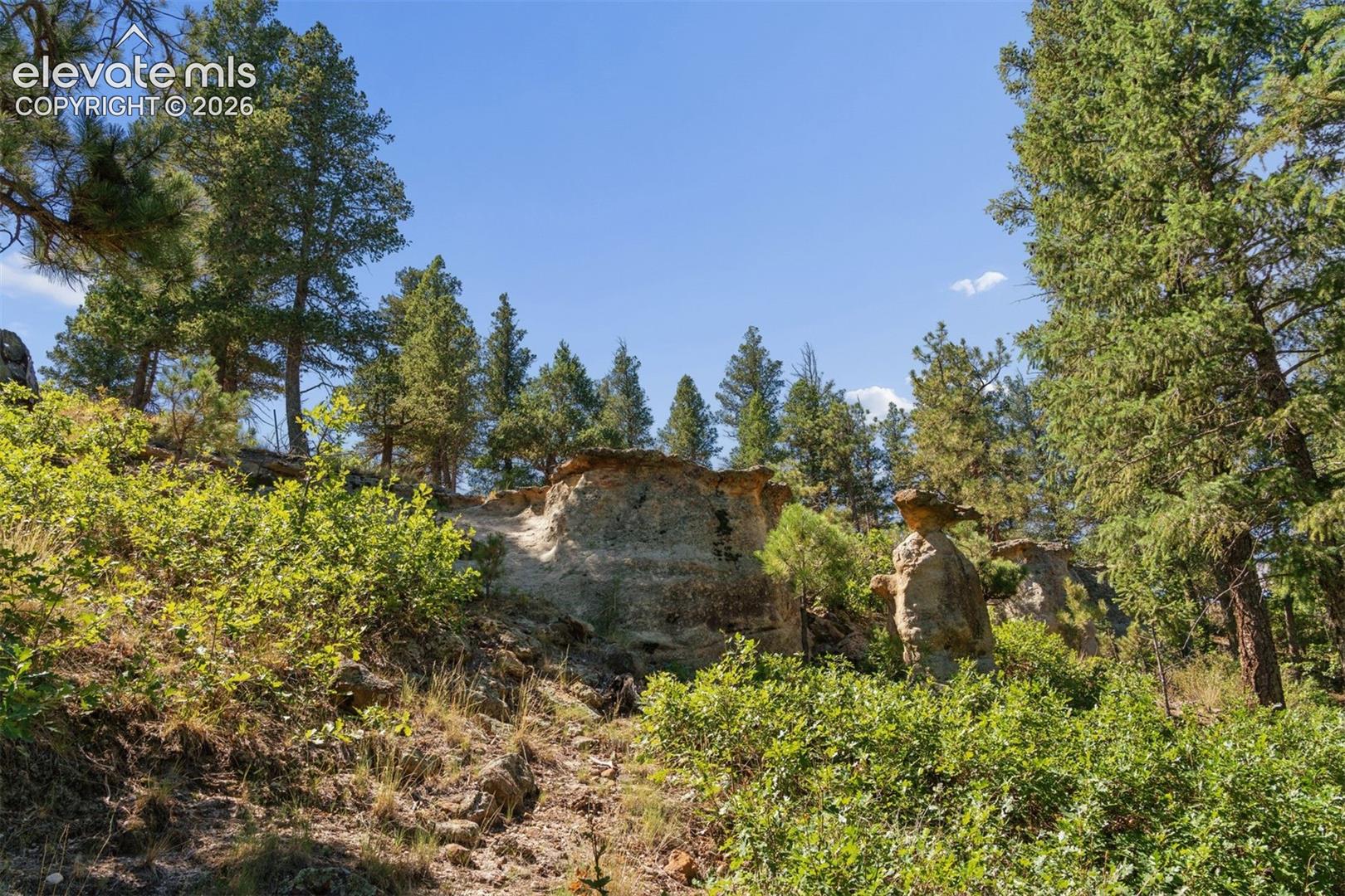 Listing photo 10 for 1015 Timber Valley Road