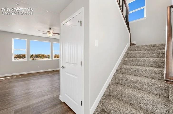 Listing photo 5 for 7201 Alpine Daisy Drive