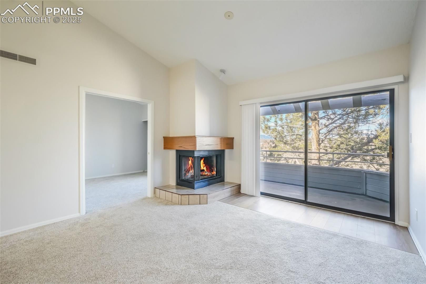 3664 Iguana Drive, photo 10