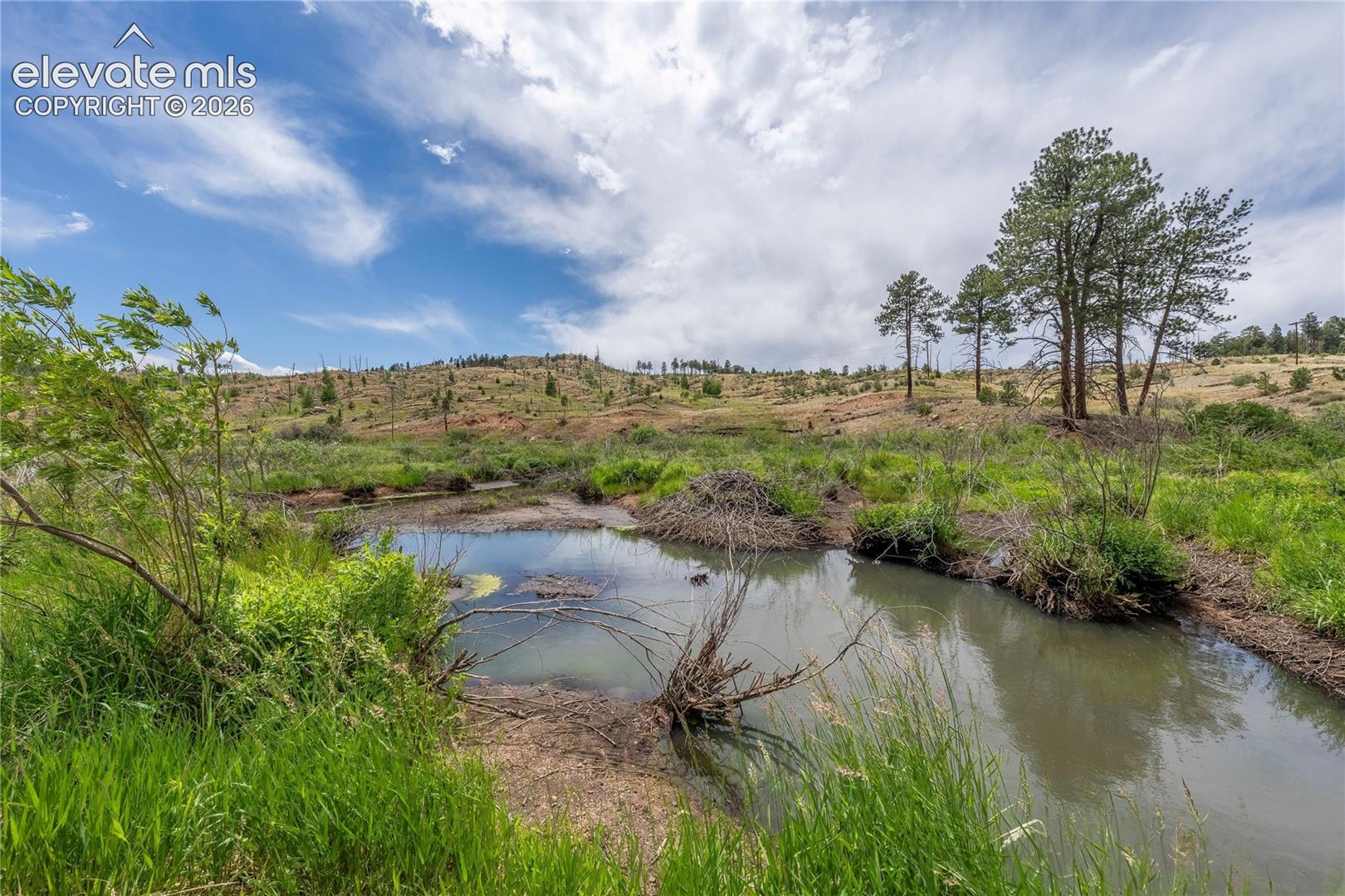 Listing photo 36 for 15970 Willow Way