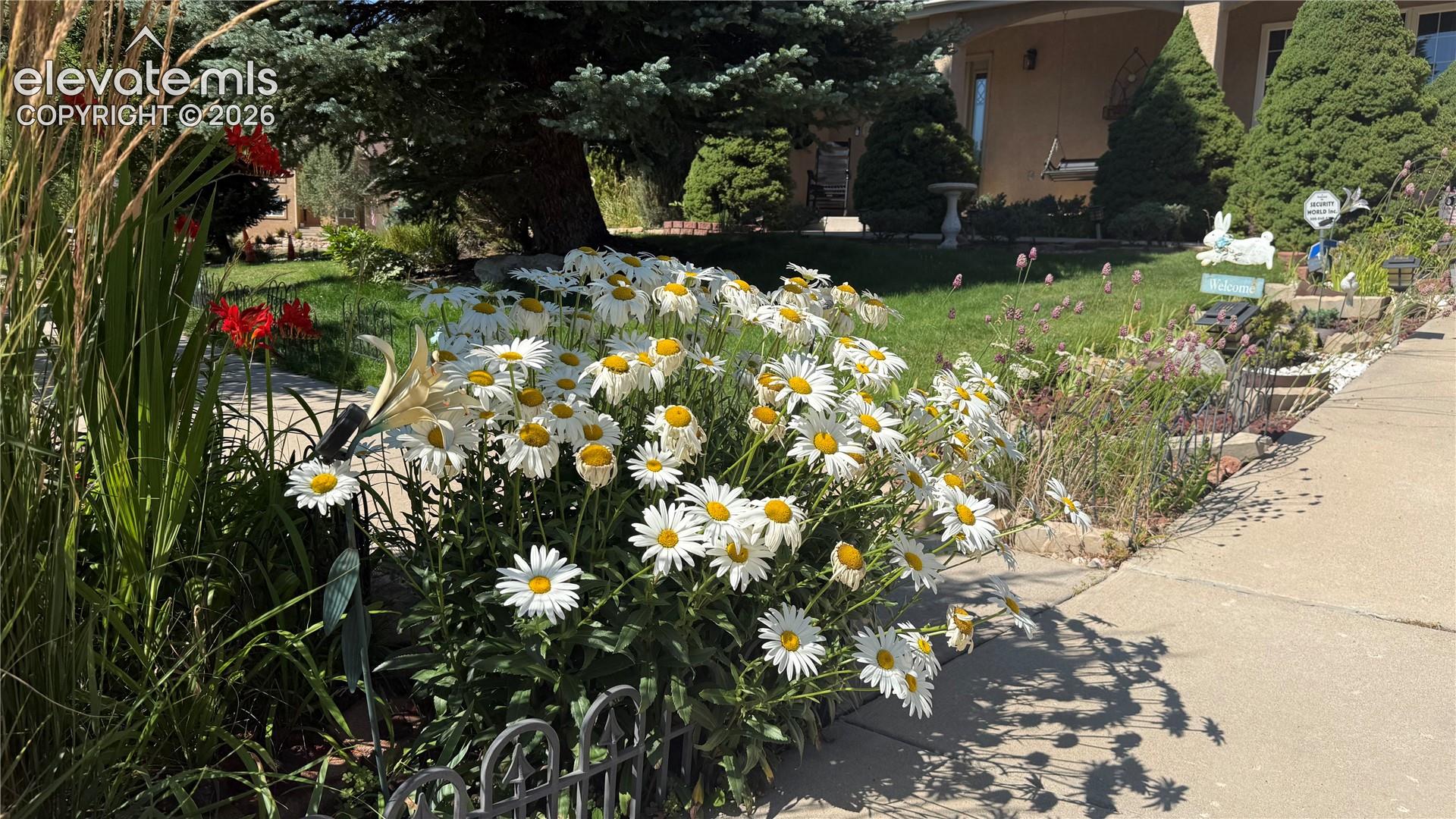 Listing photo 50 for 2285 Vanreen Drive
