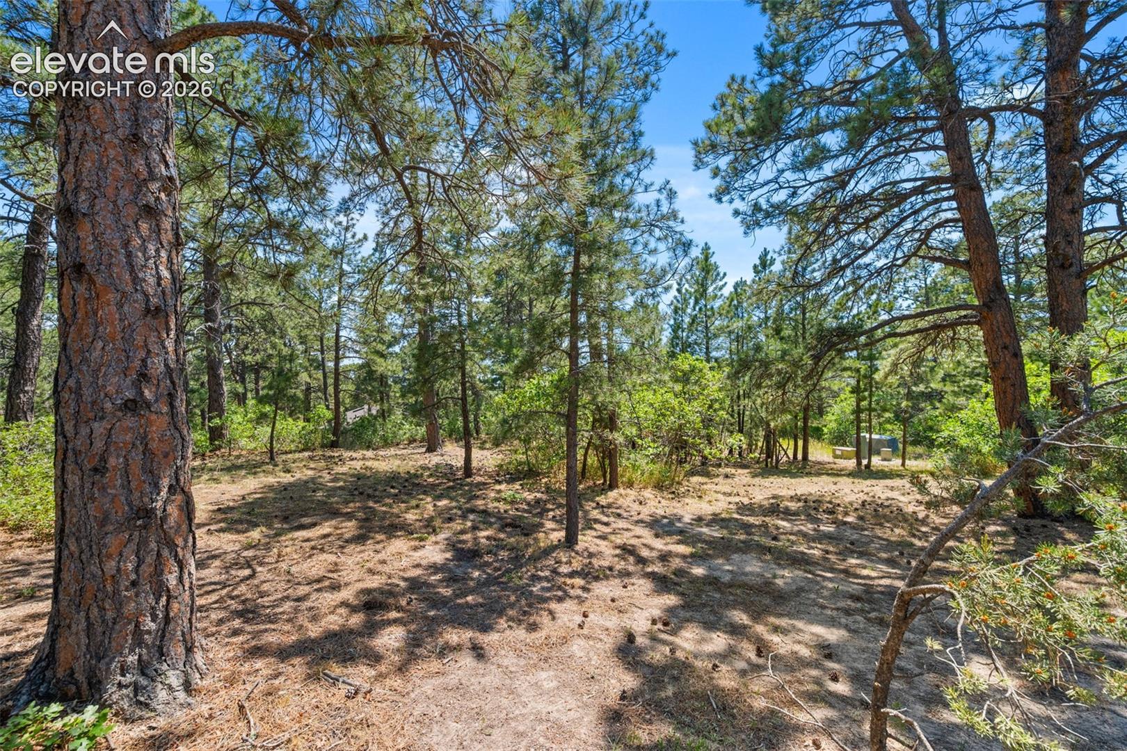 Listing photo 38 for 1675 Oakwood Drive