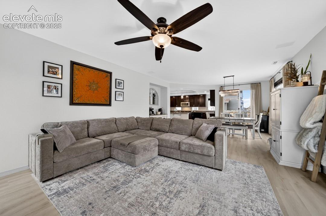 7911 Dutch Loop, photo 23