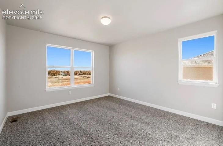 Listing photo 31 for 7201 Alpine Daisy Drive