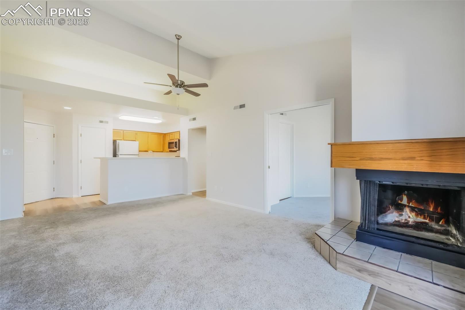 3664 Iguana Drive, photo 8