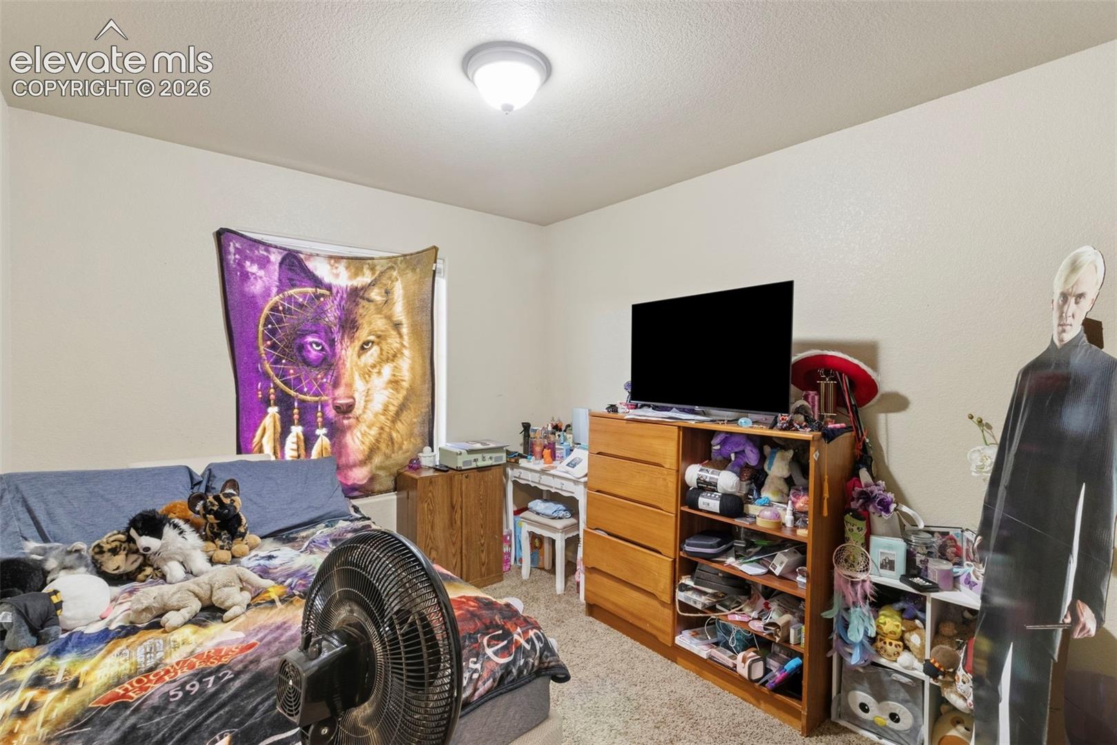 Listing photo 16 for 4883 Painted Sky View