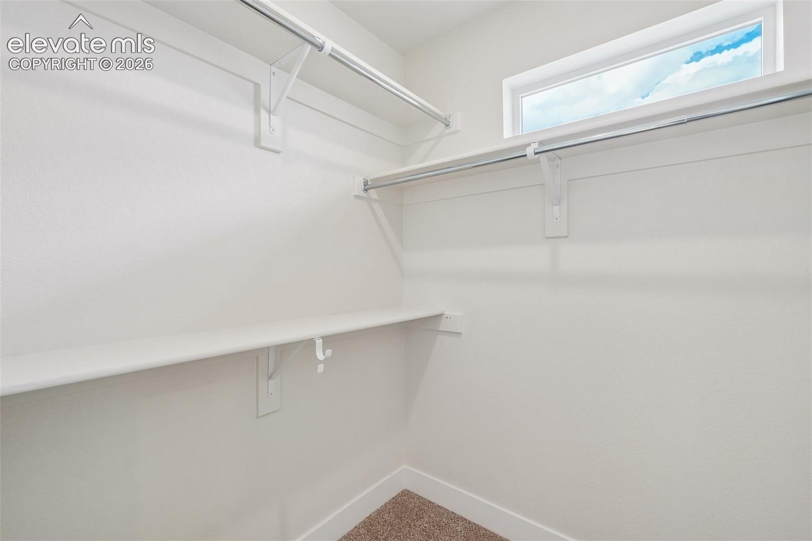 Listing photo 35 for 3005 Curly Grove