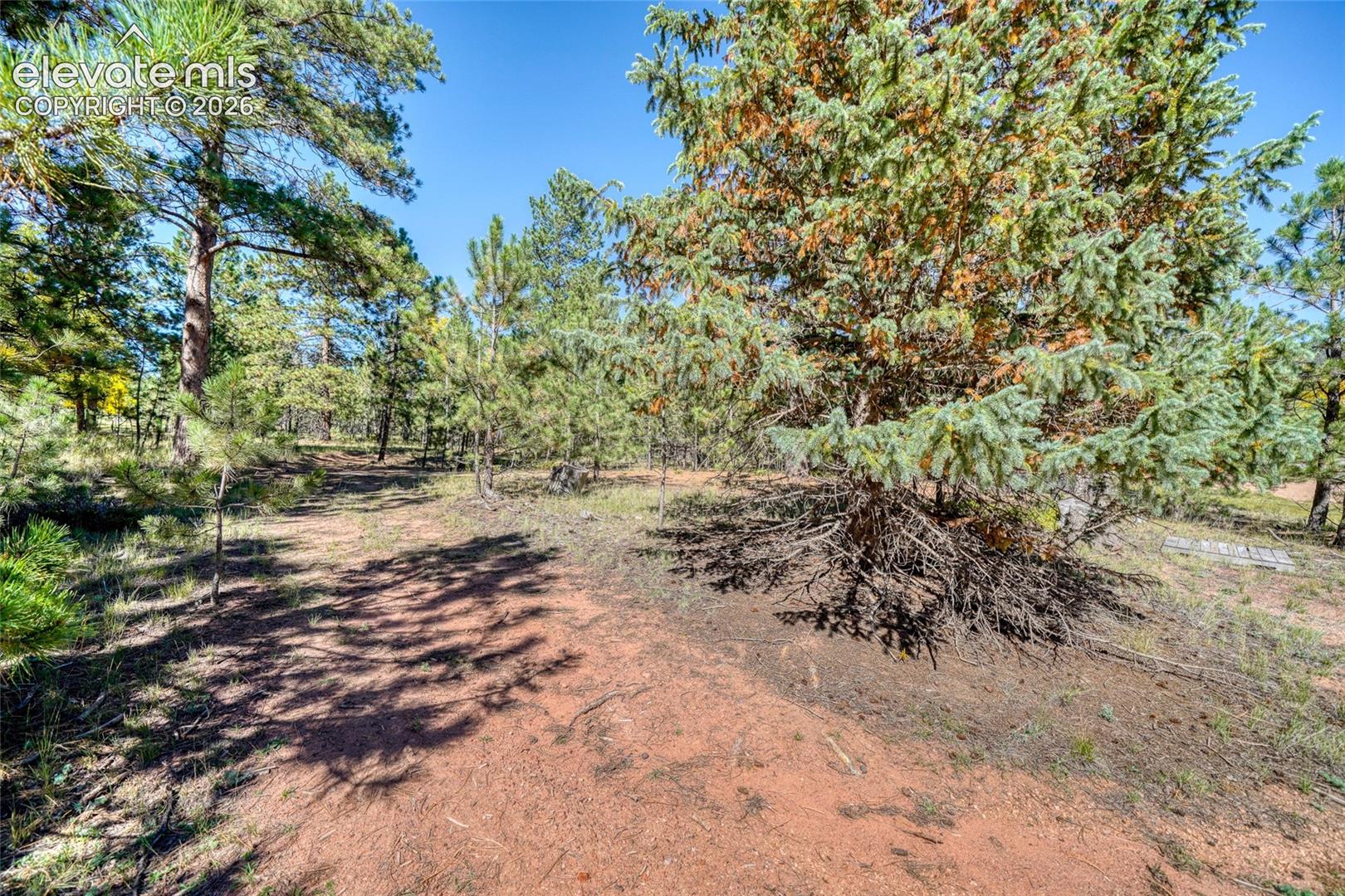 Listing photo 39 for 1867 Woodland Avenue