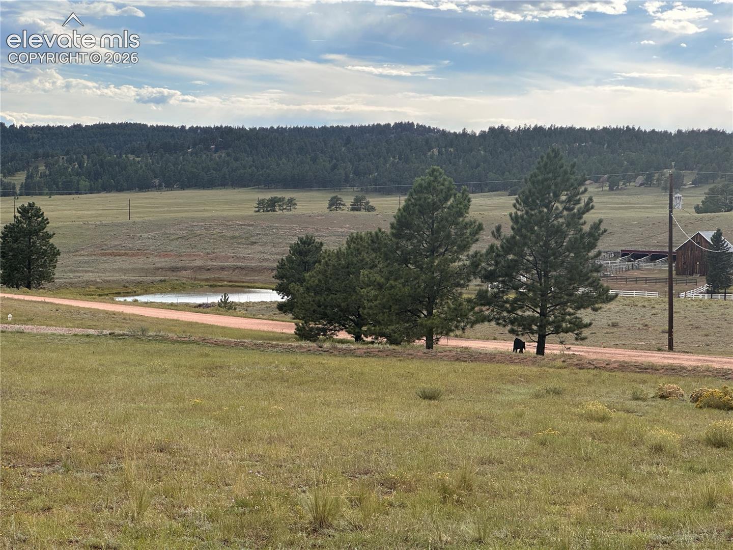 Listing photo 32 for 406 High Pasture Road