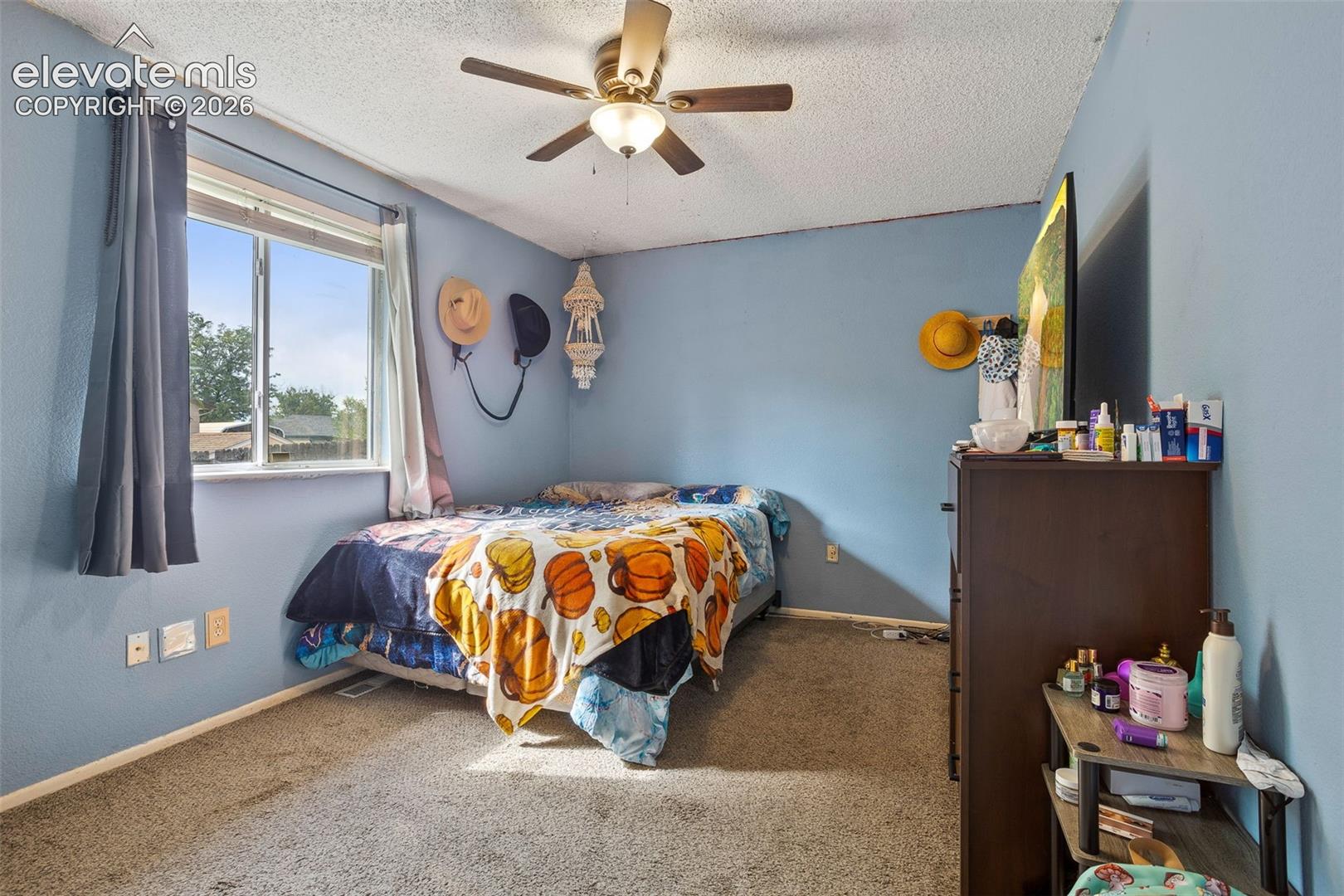 2516 Anjelina Circle, photo 7