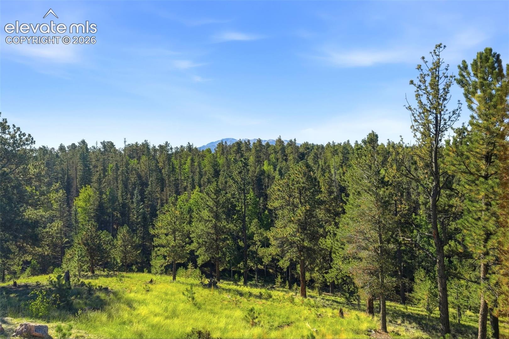 Listing photo 39 for 1509 County Road 25