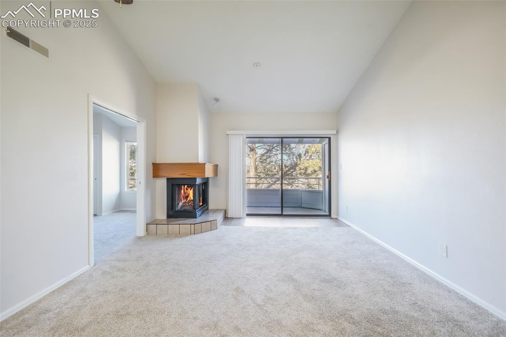 3664 Iguana Drive, photo 6