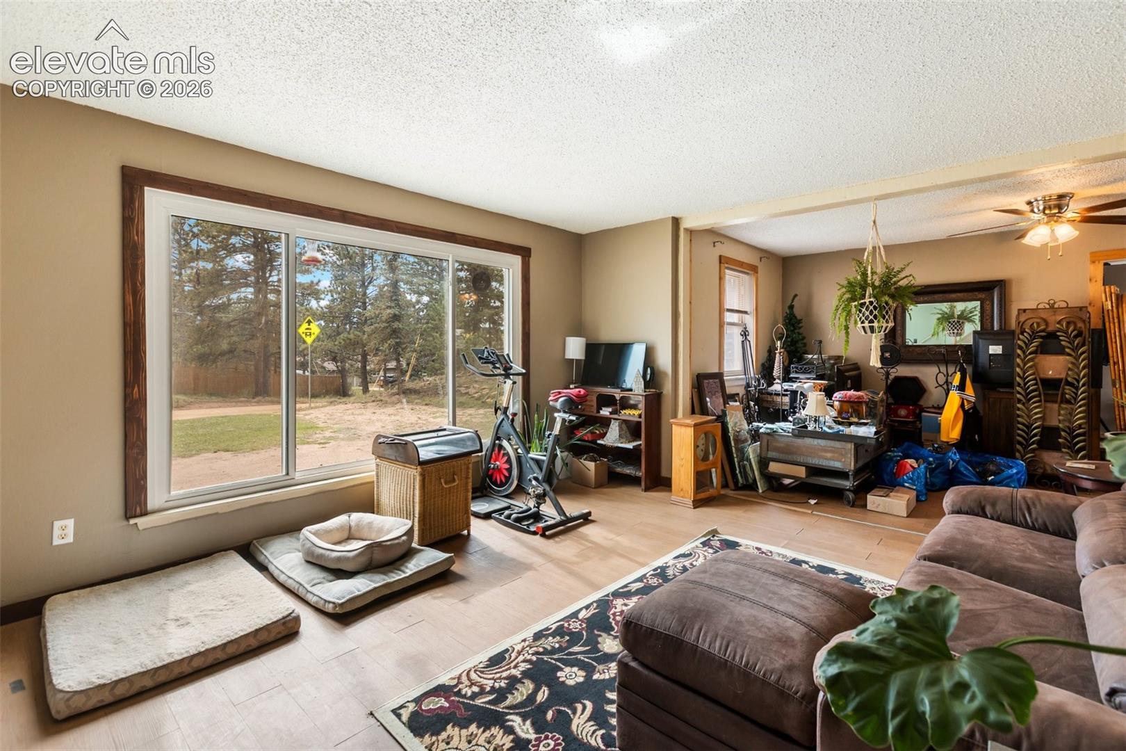 20 Westwood Drive, photo 4
