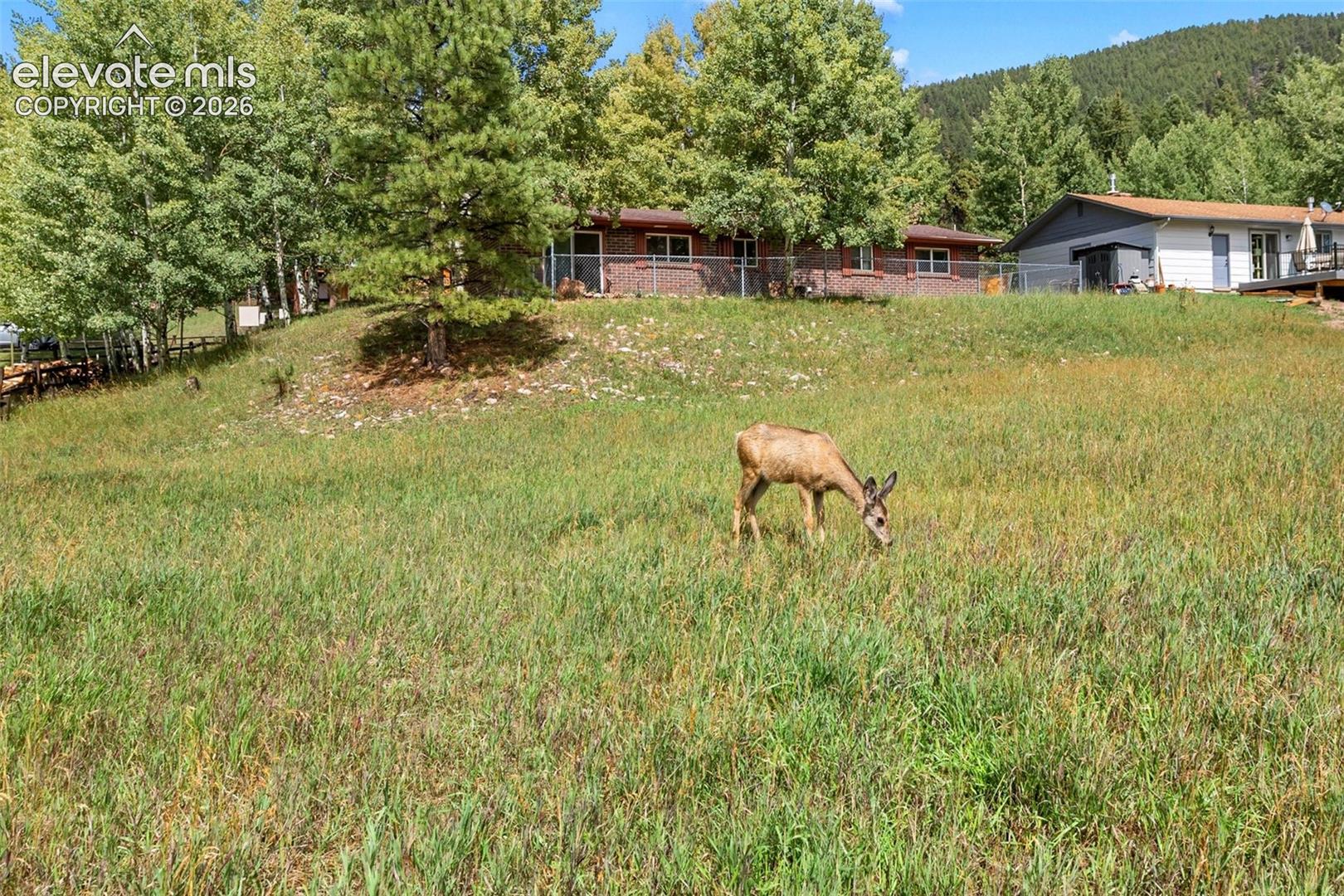 1035 Park View Road, photo 3