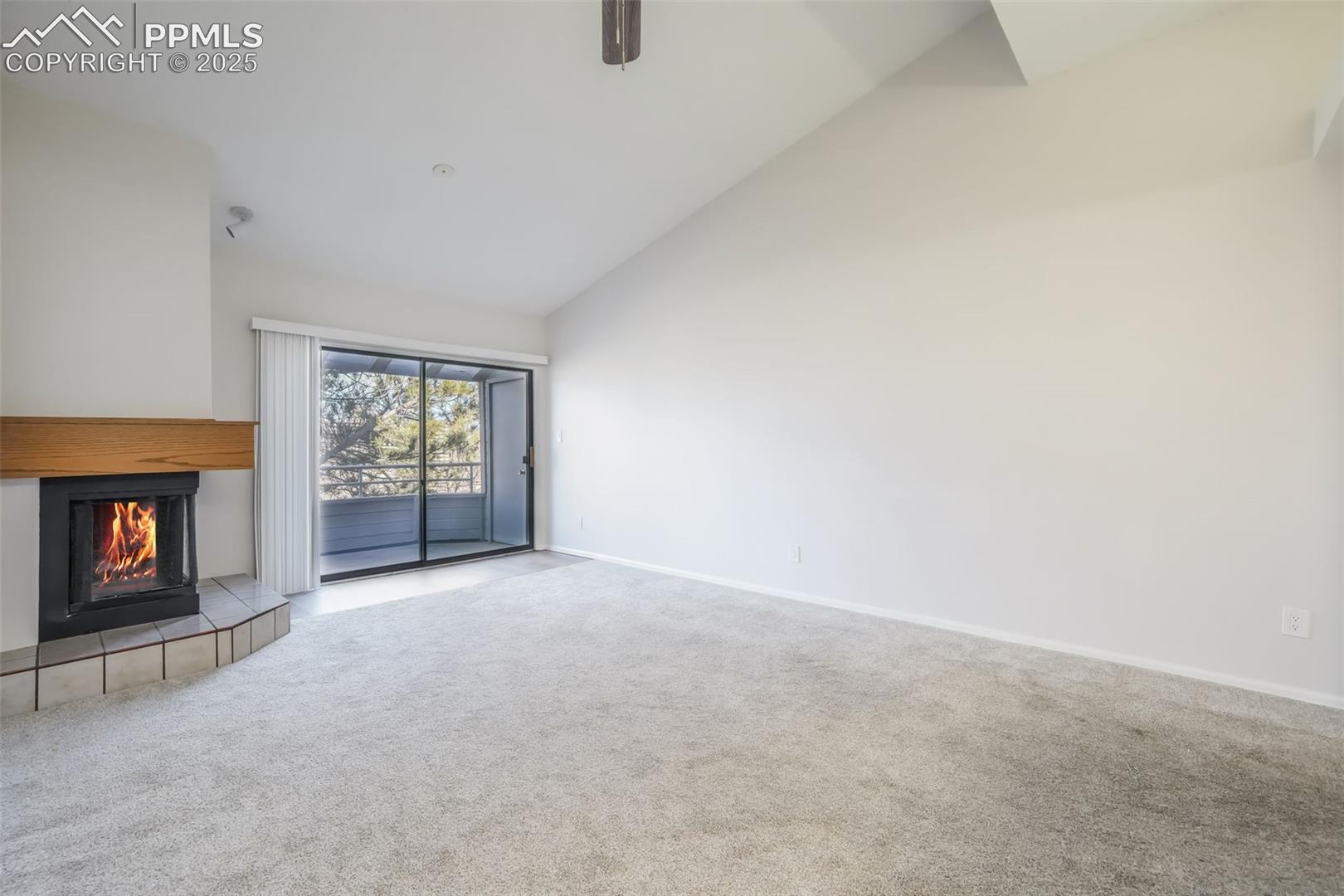 3664 Iguana Drive, photo 11