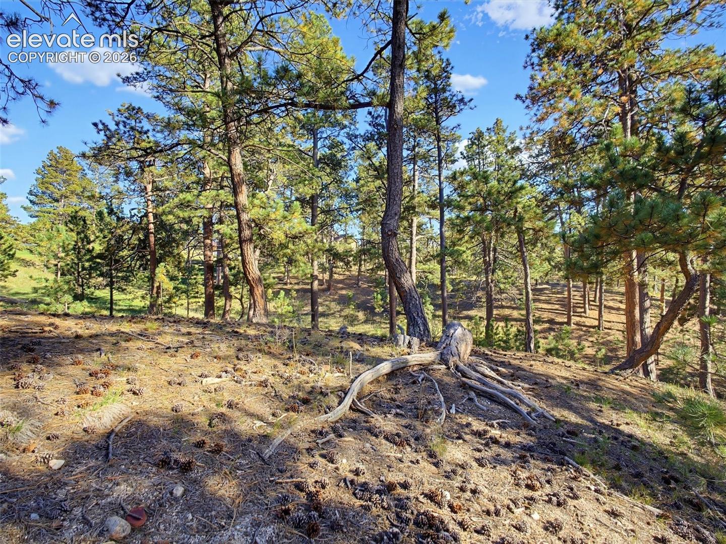 Listing photo 44 for 18065 Cumbres Road