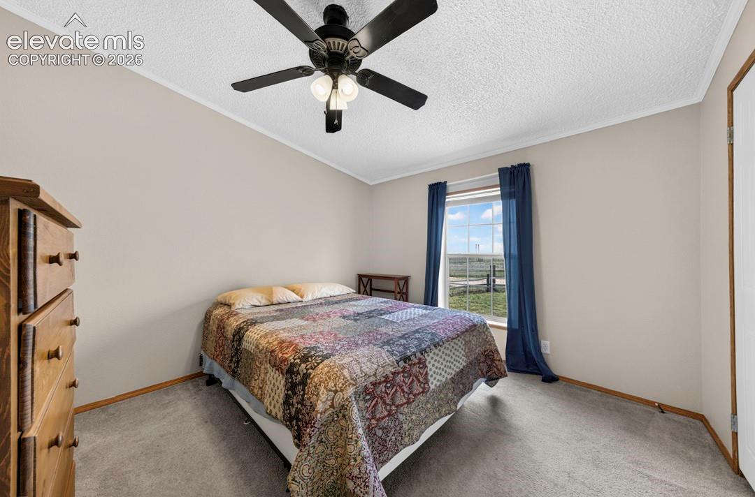 Listing photo 19 for 755 High Prairie Point