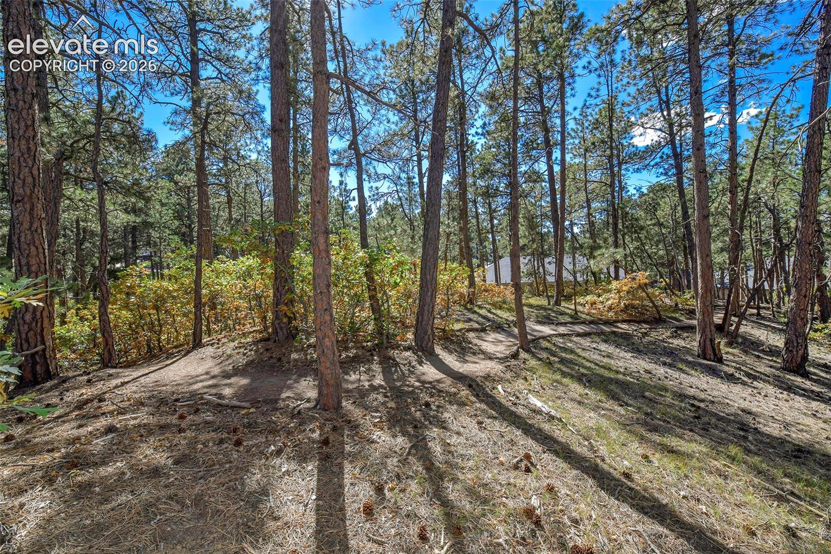 Listing photo 46 for 933 Tree Bark Terrace