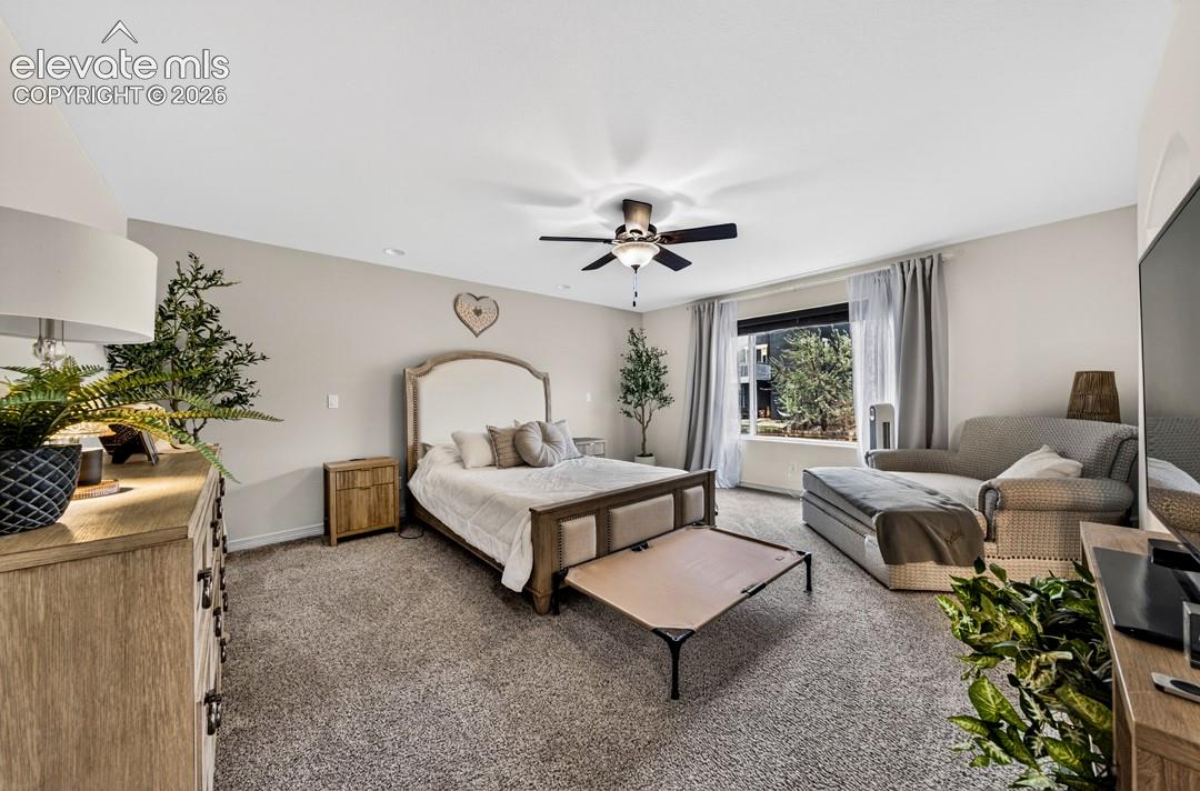 7911 Dutch Loop, photo 24