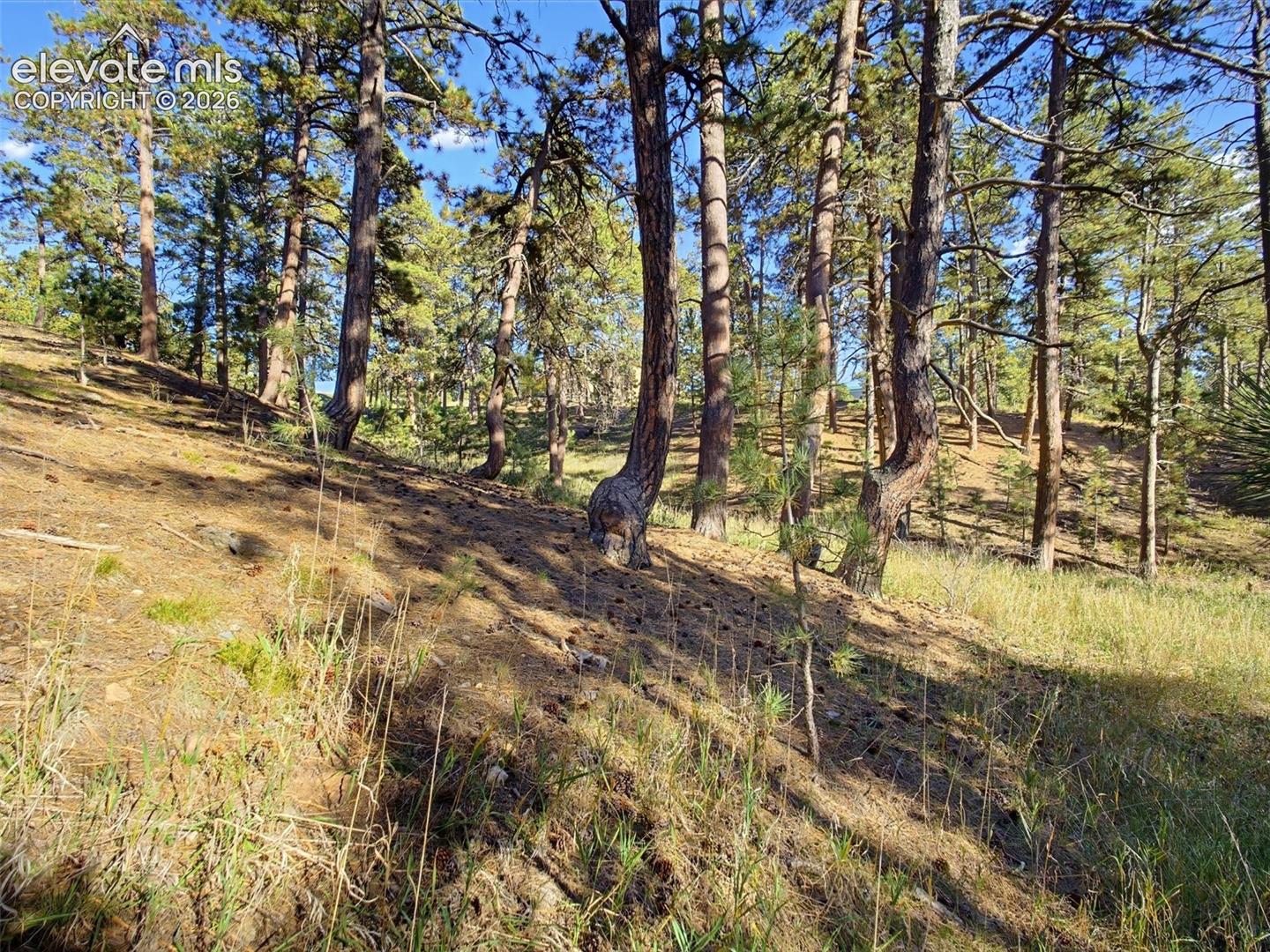 Listing photo 45 for 18065 Cumbres Road