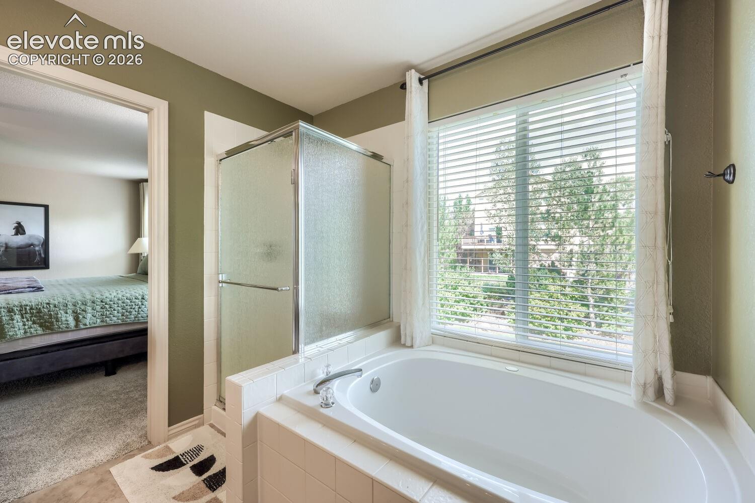 Listing photo 38 for 1586 Lily Lake Drive