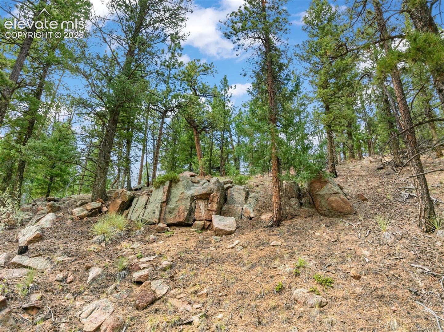 3843 County Road 33, photo 6