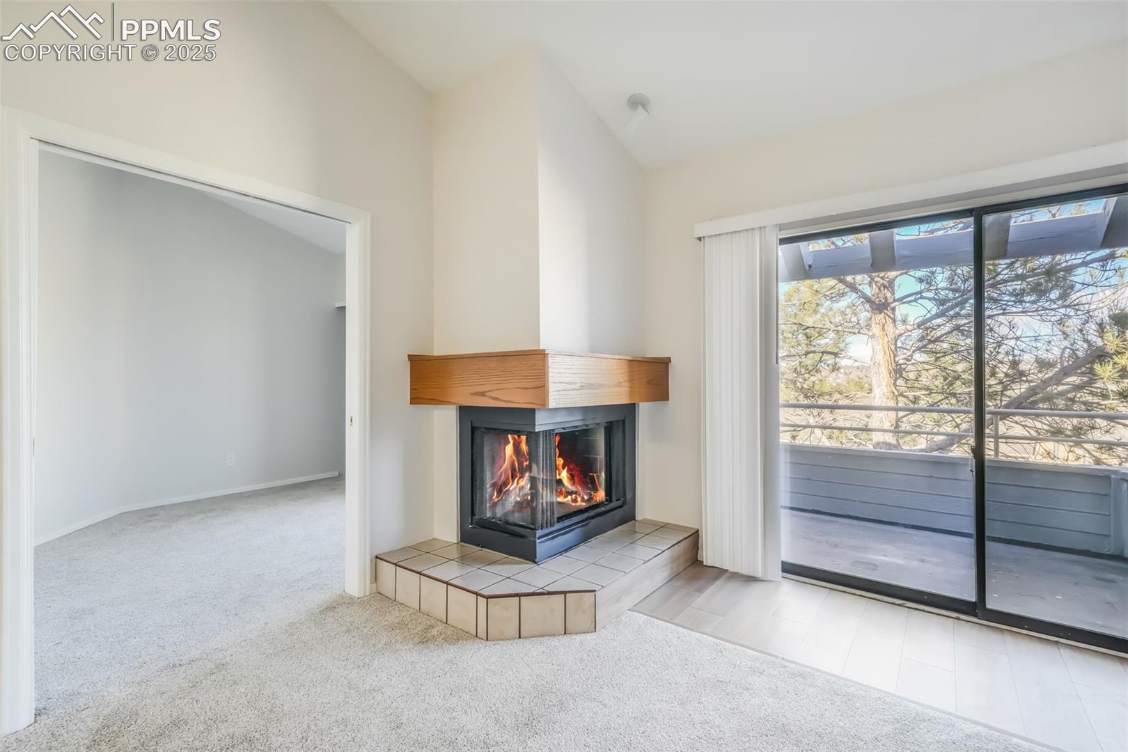 3664 Iguana Drive, photo 12