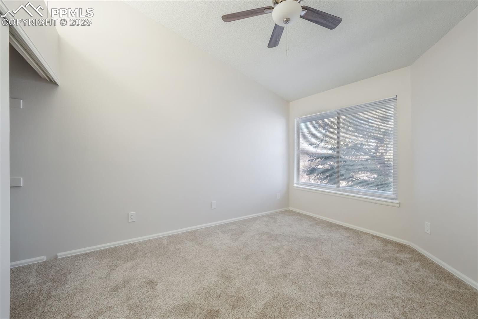 3664 Iguana Drive, photo 30