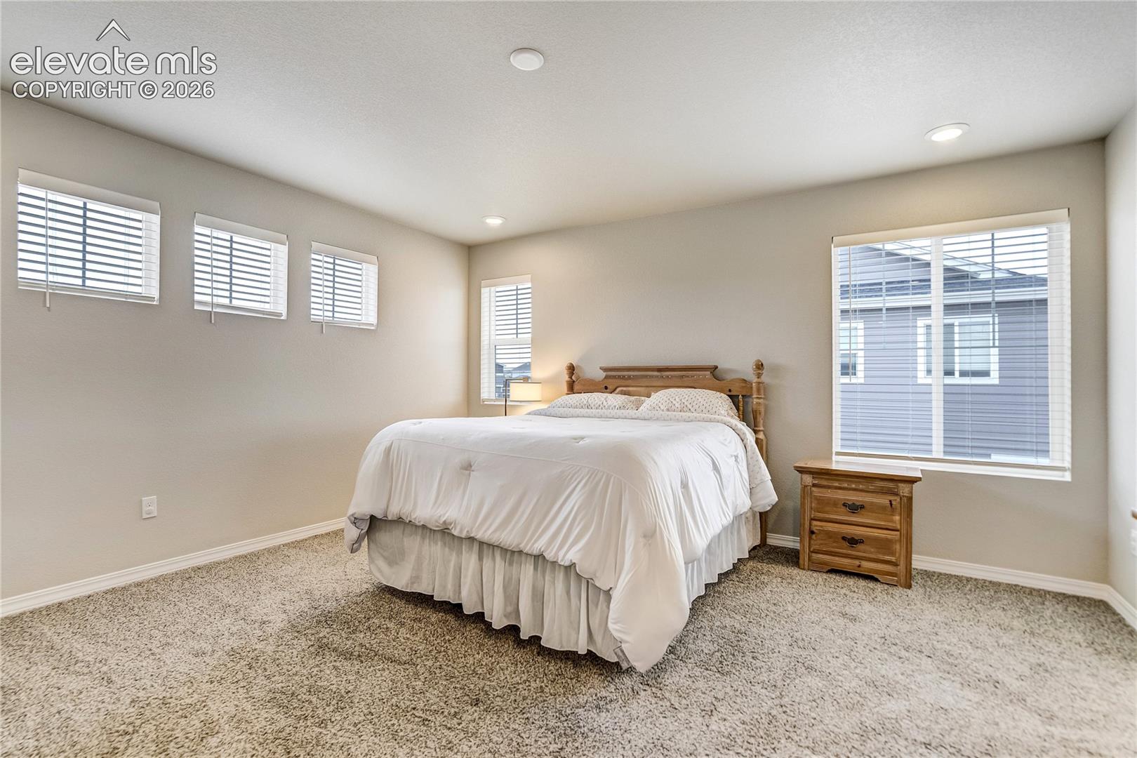 Listing photo 26 for 10871 Rolling Peaks Drive