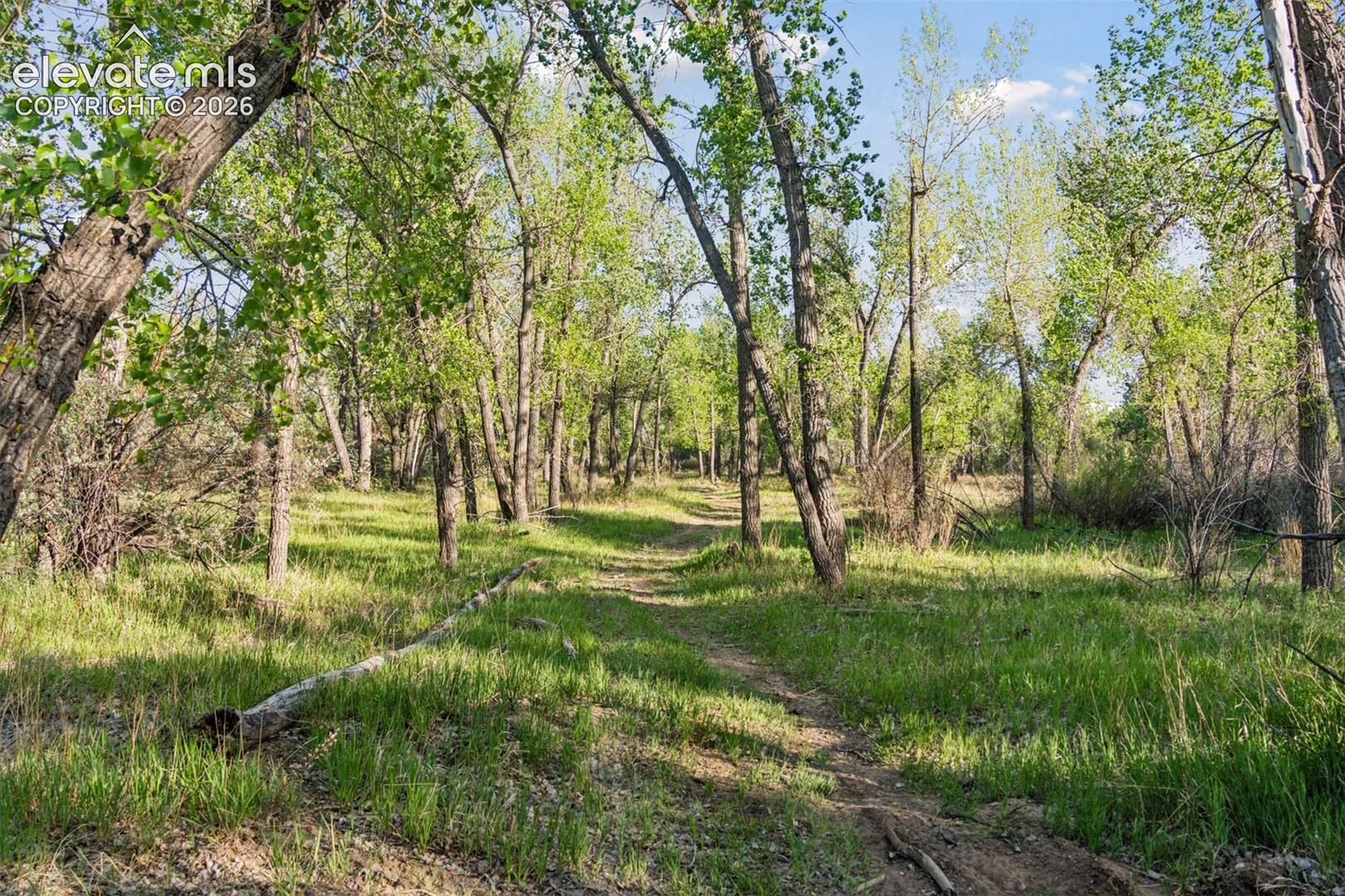 Listing photo 48 for 16990 Old Pueblo Road