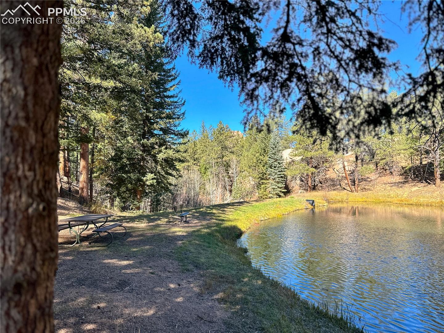 Listing photo 36 for 71 Durelli Drive