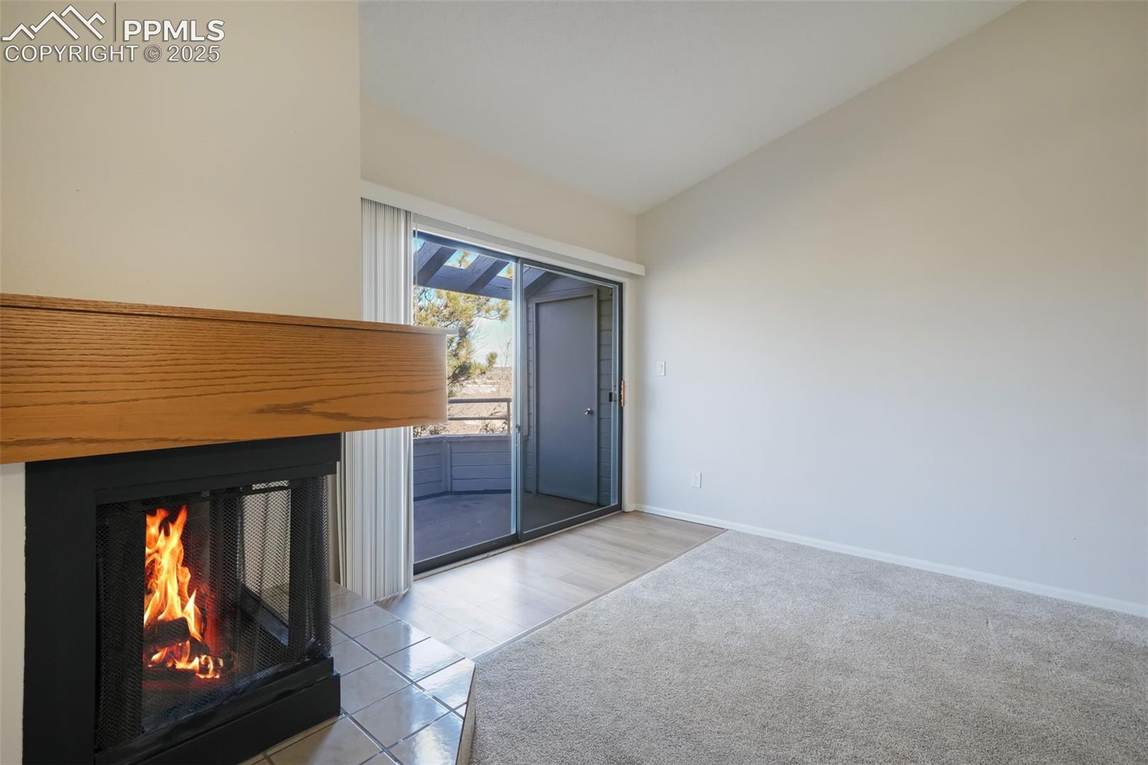 3664 Iguana Drive, photo 9