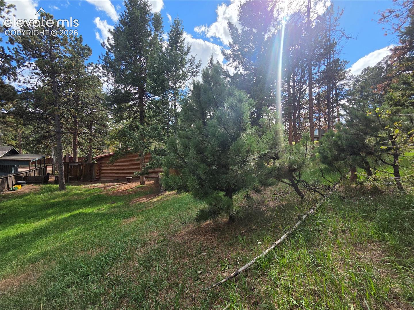 1020 Lorraine Avenue, photo 13