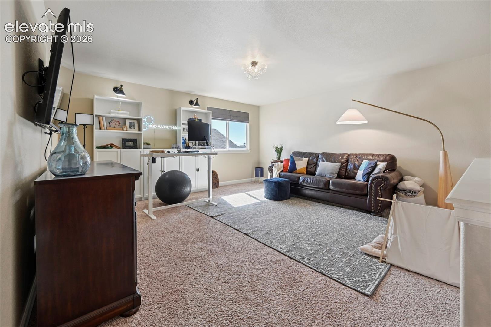 Listing photo 26 for 10071 Mount Princeton Drive