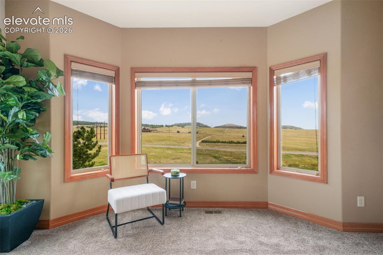 20439 Taversham Court, photo 20