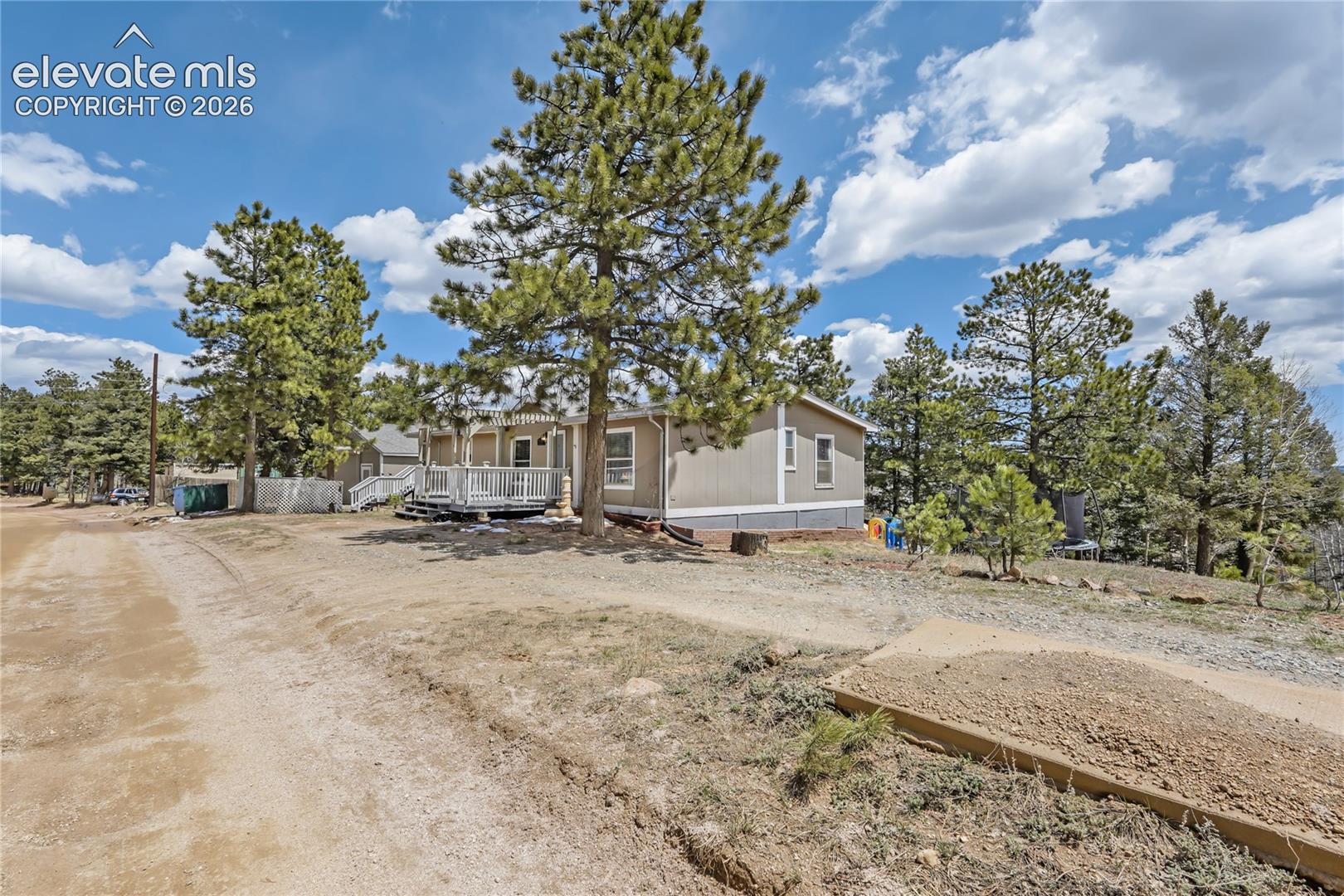 784 Blossom Road, photo 5