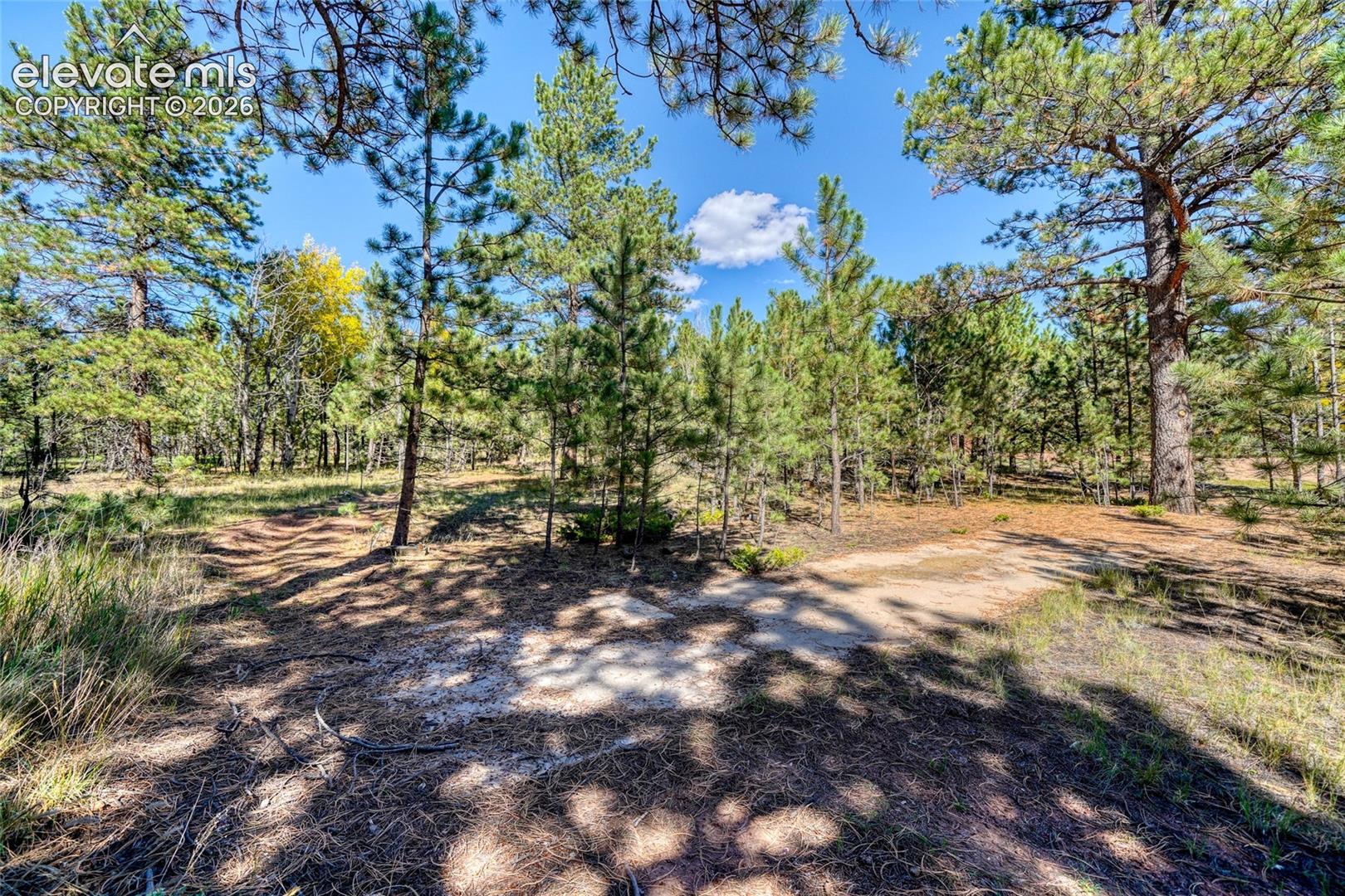Listing photo 40 for 1867 Woodland Avenue