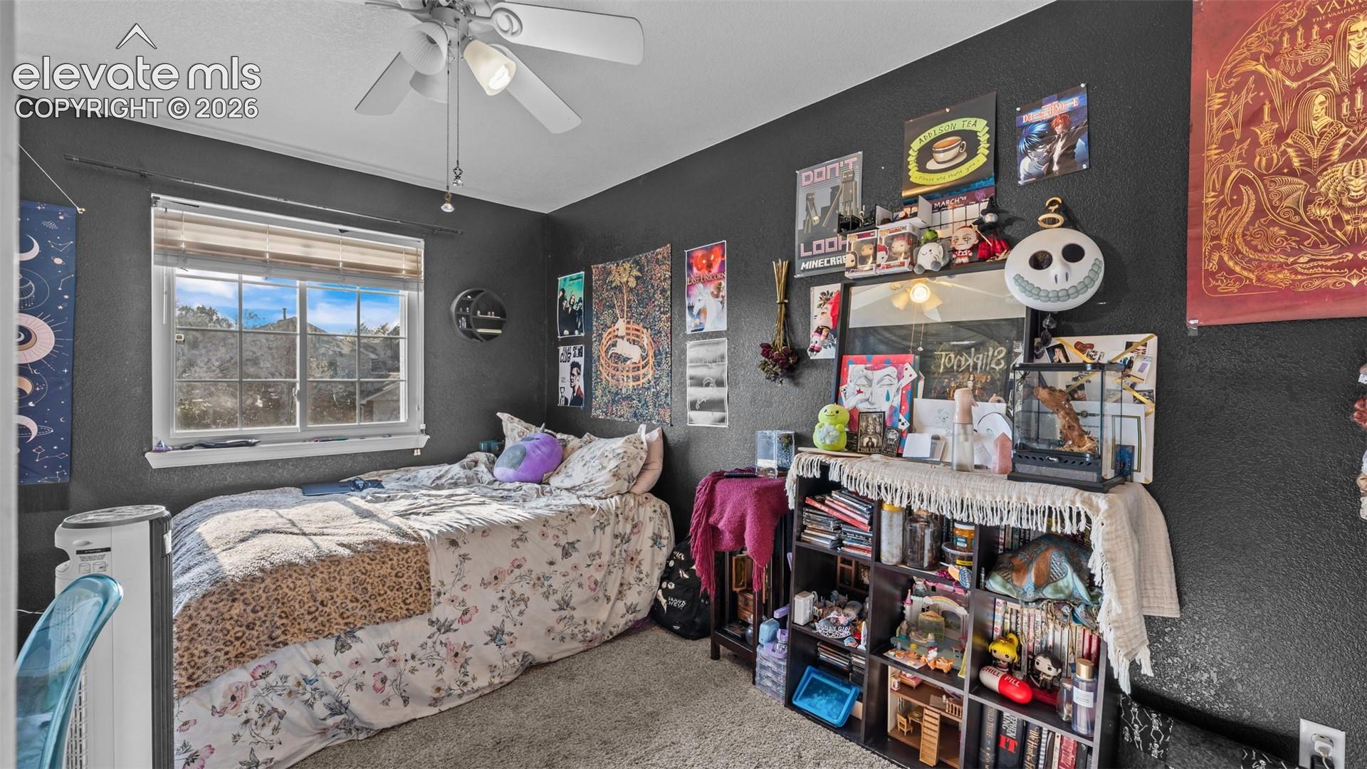 Listing photo 23 for 6348 La Plata Peak Drive