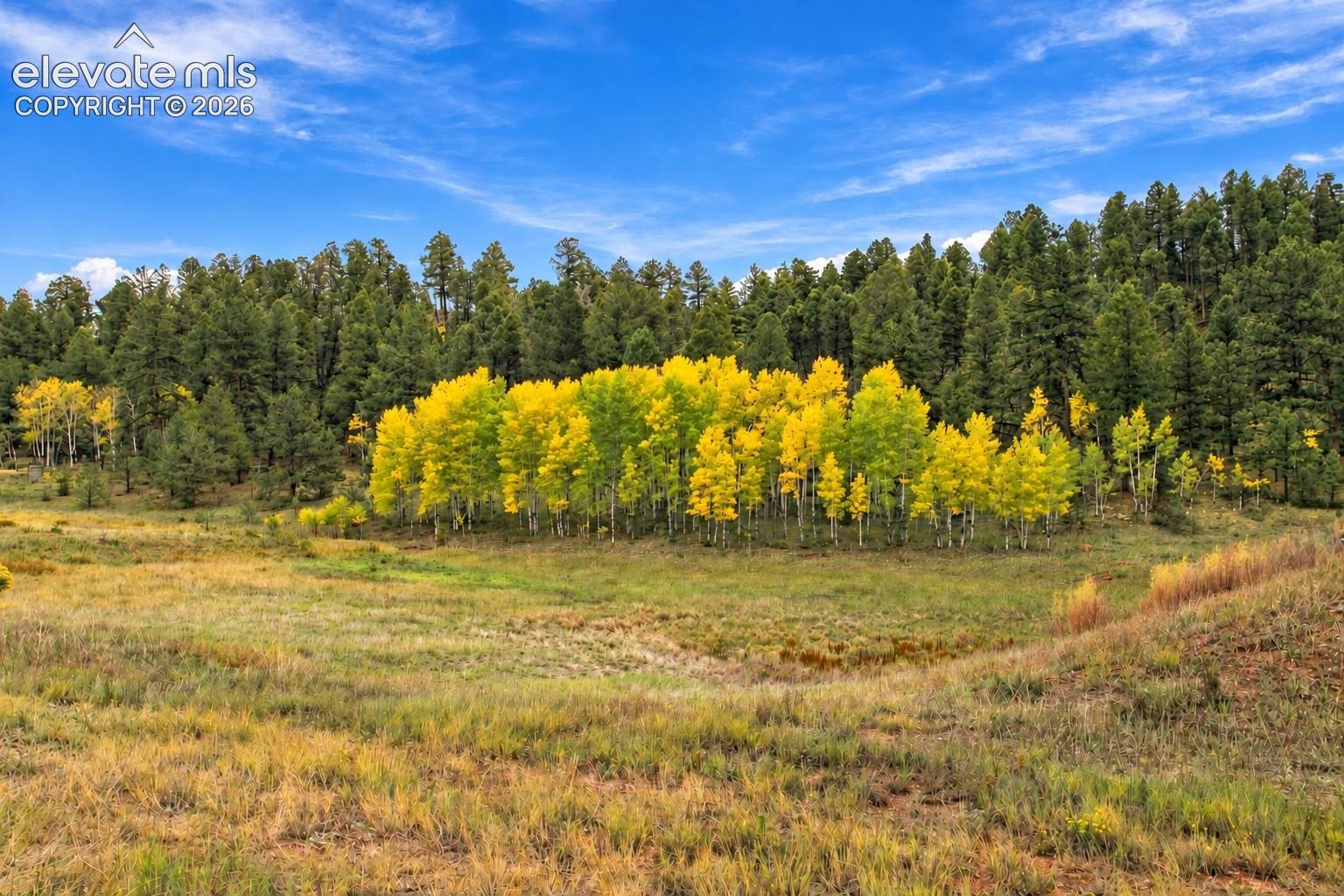 Listing photo 19 for 3303 Trail Creek Road