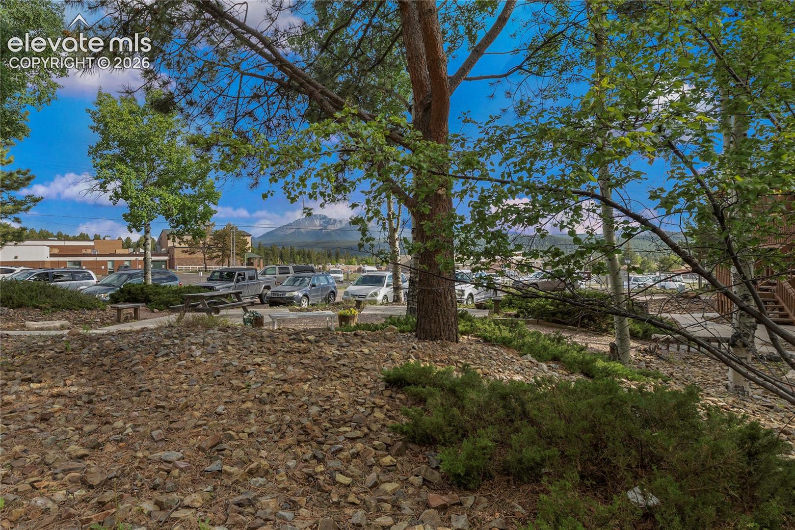 Listing photo 5 for 401 Forest Edge Road A1